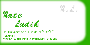 mate ludik business card